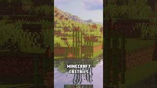 Minecraft Cattails Build Hack [upl. by Zakarias111]