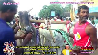 பெரிய மாடு மணமேல்குடி 10112018 mattu vandi panthayam Manamelkudi rekla race [upl. by Aimit]