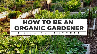 How to be an ORGANIC GARDENER 7 Tips for Success [upl. by Timoteo618]