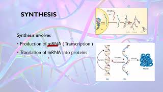 Virus Replication in Plants  Plant Virus Replication  AZ Concepts Guide [upl. by Eiramlatsyrk597]