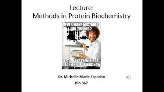 BIO 367 Biochemistry Methods in Proteins includes Mass Spec NMR Gel Electrophoresis Sequencing [upl. by Adkins]