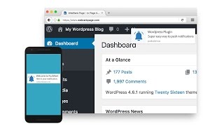 Chrome and Firefox Web Push Notifications WordPress Plugin  PushAlert [upl. by Herahab]