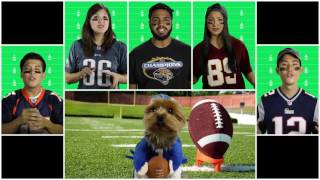 NFL On Fox Theme  Cover A Cappella  Backtrack  SideTrack 1 [upl. by Epps119]