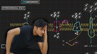 Oxidative Phosphorylation  MDCAT Biology [upl. by Gnohc]