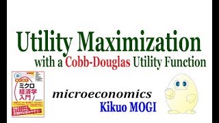 【wizardry】Utility Maximization with a CobbDouglas Utility Function [upl. by Laird]