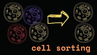 Cell sorting a brief introduction [upl. by Notsrik]