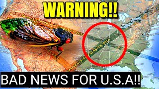 PREPARE 2024 Solar Eclipse And Cicadas Scary Prediction [upl. by Eisle]