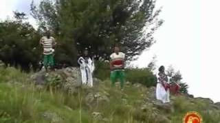 Traditional Amharic Music  Damtew Ayele  Yewelo Lij [upl. by Ellesirg257]