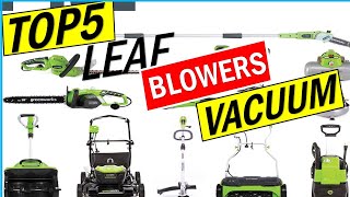 Best Leaf Blower Vacuums  Top 5 Reviews 2024 Buying Guide [upl. by Nicodemus]