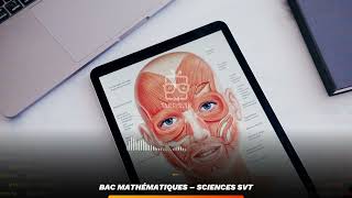 Sommaire ： Sciences SVT – Bac Mathématiques [upl. by Way]