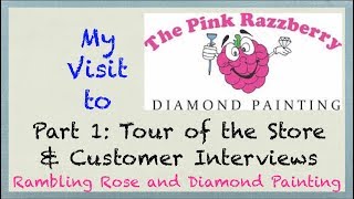 My Visit to The Pink Razzberry  Part 1 Tour of the Store and Customer Interviews [upl. by Mat]