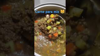 Carne molida para mis peluditos 😋😸🐶comidacasera ricoysano food cocina amadecasa [upl. by Henri359]