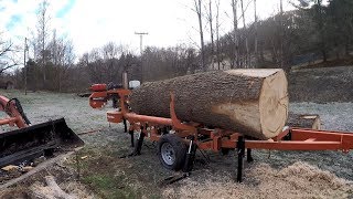 Woodmizer LT35 video Monster Oak log sawed with quartersawn [upl. by Eekram]