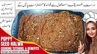 The Secret to the Best Poppy Seed Halwa Recipe  Khas Khas Ka Halwa  Food Magic with Nadia [upl. by Ahsimot]