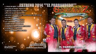 EL PARRANDERO LOS HERMANOS GONZALEZ D JUNGAPEO ESTRENO 2014 [upl. by Ragan]