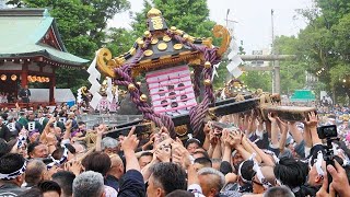 本社神輿３基が威勢よく「宮出し」…東京・浅草神社の三社祭・最終日 [upl. by Carey]