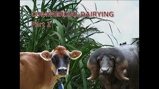 Commercial Dairying Part 2 Revised [upl. by Jahdiel280]