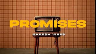 Promises  Shamoon Ismail slowed  reverb [upl. by Barthelemy608]