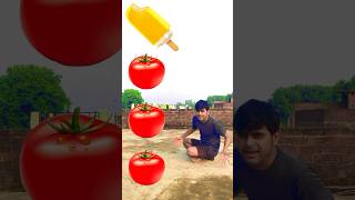 Tomato to icecream chocolate cake catberry vfx funny video  funny shortsvideo vfxshowreel [upl. by Luttrell]