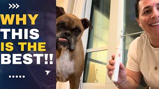 Review of Plaque Remover for Teeth Pet Teeth Cleaning Tools [upl. by Rebeka83]