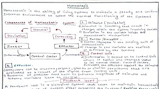 Homeostatic Control Mechanism Homeostasis Part 3 [upl. by Jolynn]