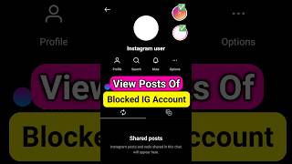 View Blocked Instagram Account Posts and Stories ❓ [upl. by Noli]