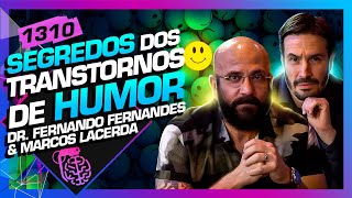 TRANSTORNOS DO HUMOR MARCOS LACERDA E DR FERNANDO FERNANDES  Inteligência Ltda Podcast 1310 [upl. by Grethel]