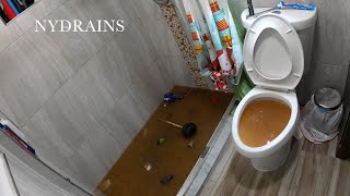 Clogged Drain 148 [upl. by Terryn]