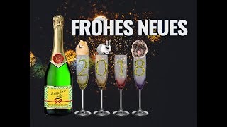 FROHES NEUES JAHR 🍸 Lustiger Silvestergruß ✨ Happy New Year ✨ WhatsApp Video kostenlos 2018 [upl. by Aikat993]