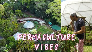 Episode 36  Permaculture at La Ecovilla 🦋🌱 [upl. by Llennahs]