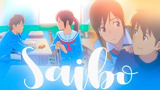 SAIBO  Flavours of Youth  Hindi Amv  Unleashed Edits [upl. by Iah103]