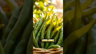 Boost Your Immune System Naturally The Powerful Health Benefits of Green Beans [upl. by Aicatsanna]