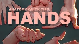 Anatomy Quick Tips Hands [upl. by Hagar338]