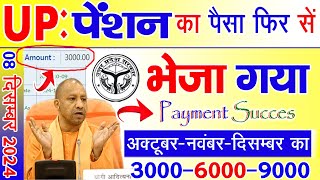 08 December 2024  यूपी पेंशन का पैसा फिर से भेजा गया  Up Pension Payment  divyang pension [upl. by Qiratla]