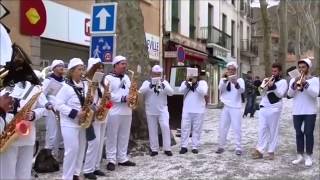 Banda Els Companys  Carnaval de Céret 2015  Dans les yeux dEmilie [upl. by Atis]