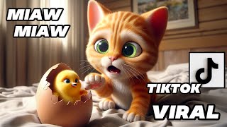 The Kitten and the Chick  A Friendship Sad Story Miaw Miaw Miaw Miaw Sad Song Cat Visual [upl. by Merissa]