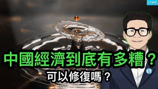 中國經濟到底有多糟？可以修復嗎？黨媒提前宣布“勝利”，助攻牛市；任志強不僅被中共不公正對待，潘石屹可做更多。 [upl. by Concoff401]