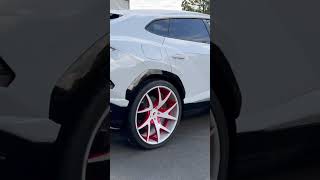 Lamborghini Urus on 24 inch Forgiato ECL F223 Rims [upl. by Sirac460]