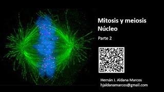 Mitosis y meiosis Parte 2 Hernán Aldana [upl. by Esdras]