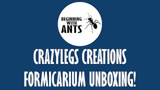 CrazyLegs Creations Formicarium Unboxing  Custom Ytong Madness [upl. by Skipp]