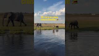 Zimbabwe booze cruise Zambezi River beer safari africa solotravel [upl. by Nibor]