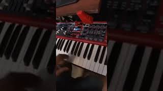 Rhodes Piano Nord Electro 6d nordkeyboards [upl. by Harrow]