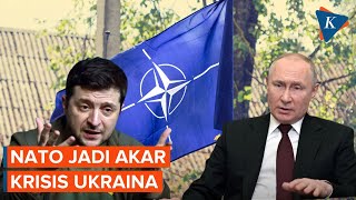 Mantan Pejabat Perancis Sebut NATO sebagai Akar Krisis Ukraina [upl. by Liponis]