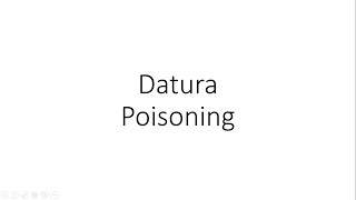 Datura Poisoning  Toxicology FMT [upl. by Jada]