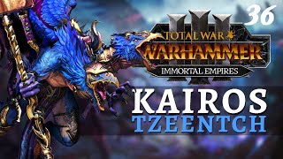 THE END IS NIGH  Immortal Empires  Total War Warhammer 3  Tzeentch  Kairos 36 [upl. by Leakcim]