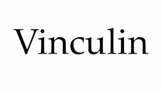 How to Pronounce Vinculin [upl. by Felipa239]