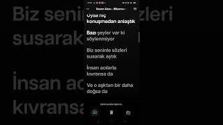 Sezen Aksu Biliyorsun karaoke Enstrümantal [upl. by Ecnirp869]