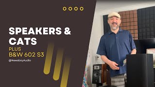 Speakers and Cats Plus the Bowers amp Wilkins BampW DM 602 Review [upl. by Koehler780]