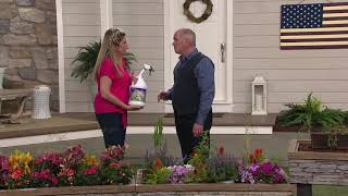 Green Gobbler Vinegar Weed Killer 1Gallon with Trigger Spray on QVC [upl. by Hartfield]