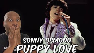 First Time Hearing  Donny Osmond  Puppy Love Reaction [upl. by Balling]